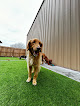Pet boarding services Bellevue Pet Adventures in Bellevue in Nebraska