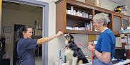 Pet boarding services Beltsville Veterinary Hospital in Beltsville in Maryland