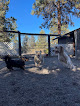Pet boarding services Bend Pet Resort Llc in Bend in Oregon