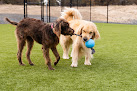 Pet boarding services Bend Unleashed in Bend in OR