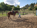 Pet boarding services Besler's Horse Boarding & Arenas in St Onge in SD