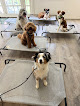 Pet boarding services Best Dog Training Academy in Portland in Oregon