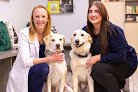 Pet boarding services Best Friends Animal Hospital And Pet Hotel in Fayetteville in Arkansas