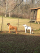 Pet boarding services Best Friends Animal Hospital in Houma in Terrebonne