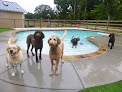 Pet boarding services Best Friends Bed & Biscuit in Greensboro in Guilford