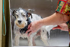 Pet boarding services Best Friends Grooming, Daycare And Boarding in McComb in Mississippi