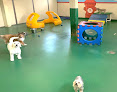 Pet boarding services Best Friends Pet Hotel in West Berlin in Camden
