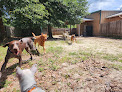 Pet boarding services Best Pals Pet Resort in Defuniak Springs in Florida
