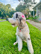 Pet boarding services Beverly's Grooming & Boarding in Baton Rouge in Louisiana