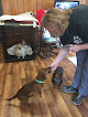 Pet boarding services Bff Pet Grooming And Boarding in McCalla in Alabama