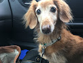 Pet boarding services Big Bend Animal Hospital Inc in Riverview in Florida