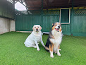 Pet boarding services Big Valley Pet Resort in Poulsbo in WA
