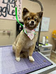 Pet boarding services Big Waggle Grooming Salon in Wailuku in Hawaii