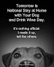 Pet boarding services Bill's Mutt House in Queen Creek in Queen Creek, AZ