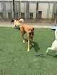 Pet boarding services Bittersweet Pet Resorts - Northwest Indiana Area in Valparaiso in Indiana