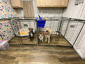 Pet boarding services Black Bayou Boarding Llc in Lake Charles in Louisiana
