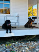 Pet boarding services Blake Vets in Northport in Maine