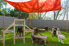 Pet boarding services Bliss Pet Resort in Prosper in Texas