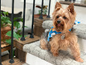 Pet boarding services Blue Valley Animal Hospital in Overland Park in Kansas