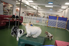 Pet boarding services Bone Jour Inc. in Bethesda in Bethesda, MD