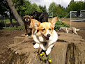 Pet boarding services Bone-a-fide Dog Ranch in Snohomish in Washington