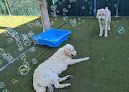 Pet boarding services Bonita Boarding Kennel And Pet Camp in Bonita Springs in Florida