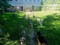 Pet boarding services Bopp Farm Doggy Daycare & Boarding in Strong in Maine