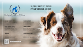 Pet boarding services Boston's Best Dog Walkers And Pet Services, Llc (main) in Boston in MA
