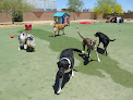 Pet boarding services Boulder Falls Pet Resort & Day Spa in Phoenix in Arizona