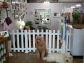 Pet boarding services Bow Meow Pet Grooming Boutique in Essex Junction in Vermont