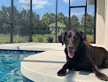 Pet boarding services Braden River Animal Hospital in Bradenton in Manatee