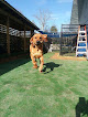 Pet boarding services Brewster’s Bark And Bed in Maryville in Blount