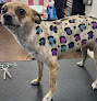 Pet boarding services Brittney's Bark Avenue in Fresno in CA