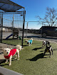 Pet boarding services Broken Arrow Pet Resort & Spa in Coweta in OK