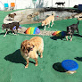 Pet boarding services Brown Dog Inn in Freeport in Maine