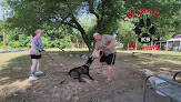 Pet boarding services Bryant's K9 Academy in El Paso in Arkansas