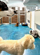 Pet boarding services Buddy's Dog Den in New York in Manhattan