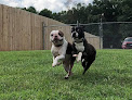 Pet boarding services Bunker Hill Pet Boarding in Blairsville in GA