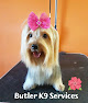 Pet boarding services Butler K-9 Services in San Antonio in Dorado