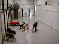 Pet boarding services Cache Valley Pet Hotel And Day Camp in Logan in Utah