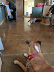 Pet boarding services Calista Animal Hospital in Las Cruces in New Mexico