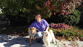 Pet boarding services Callaway County Small Animal Veterinary Clinic in Fulton in MO