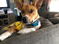 Pet boarding services Camellia Blue Pet Resort in Mobile in Alabama