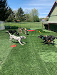 Pet boarding services Camp-4-paws in Kunkletown in Pennsylvania