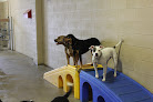 Pet boarding services Camp Bow Wow Cherry Hill in Cherry Hill Township in Camden