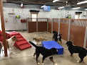 Pet boarding services Camp Bow Wow Dobson Ranch Mesa in Mesa in Arizona