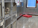 Pet boarding services Camp Bow Wow East Peoria in East Peoria in IL