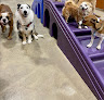 Pet boarding services Camp Bow Wow Eatontown in Eatontown in Monmouth