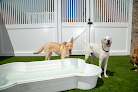 Pet boarding services Camp Bow Wow Montgomery in Montgomery in Alabama