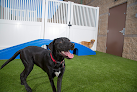 Pet boarding services Camp Bow Wow Portland in Portland in Maine